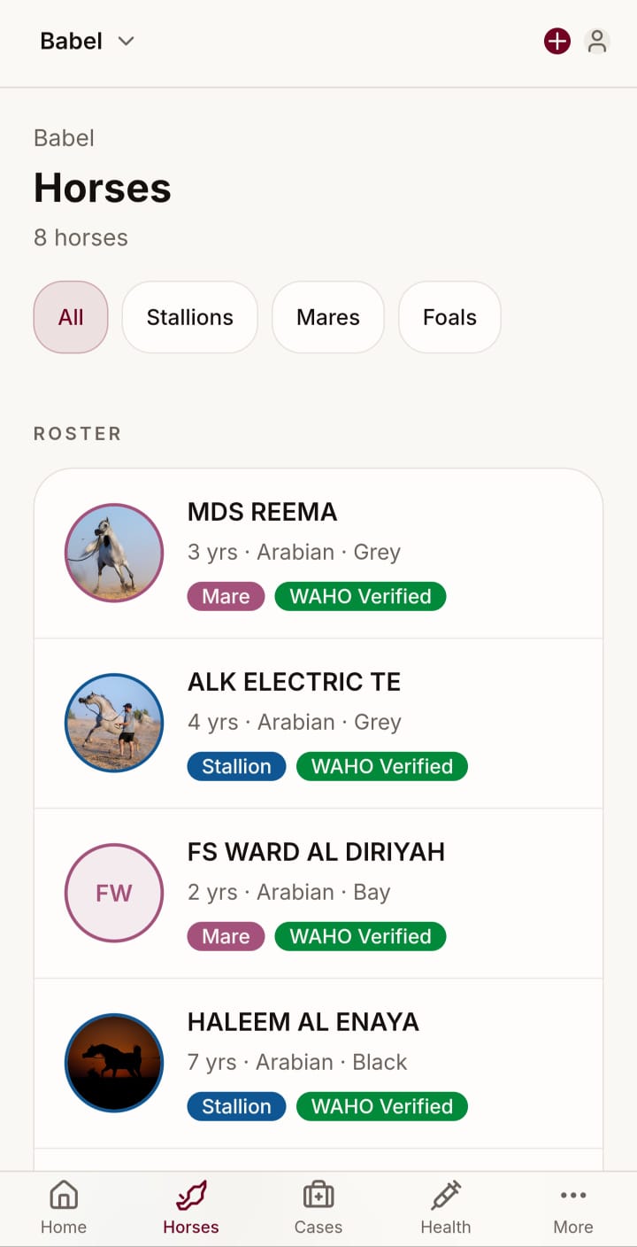 YaWaho mobile horse roster with filters and horse list