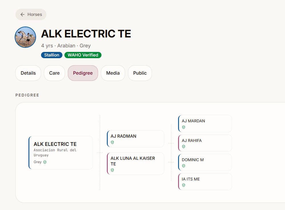 YaWaho pedigree tree for ALK Electric TE