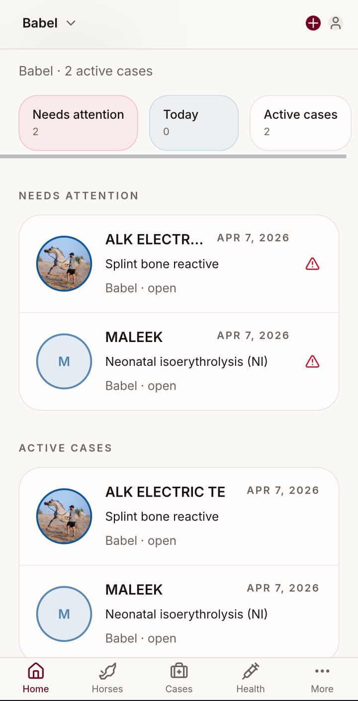 YaWaho veterinary dashboard with needs attention and active cases